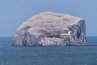 Bass Rock<br>Schotland - Scotland