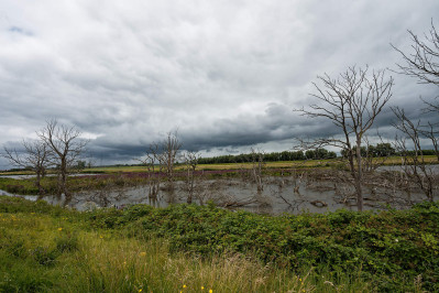 Buiten Kievitswaard