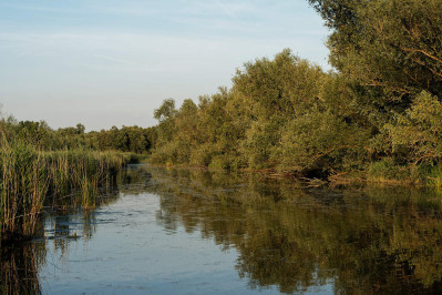 Omgeving Gat vd Kampen