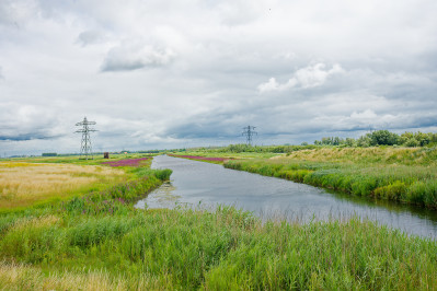 Polder de Kroon en de Zalm