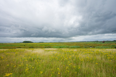 Polder de Kroon en de Zalm