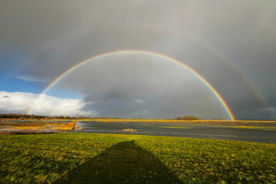 Polder de Kroon en de Zalm 