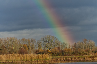 Polder de Zalm