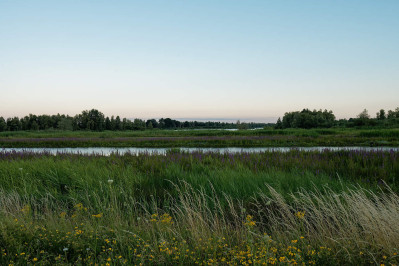 Polder Maltha