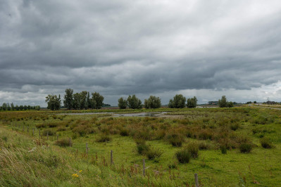 Polder Muggenwaard