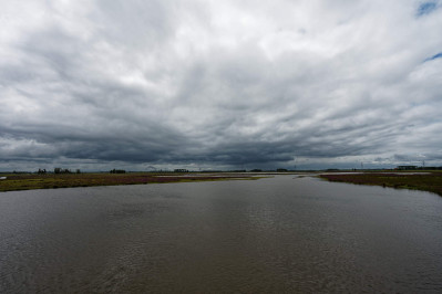 Polder Muggenwaard