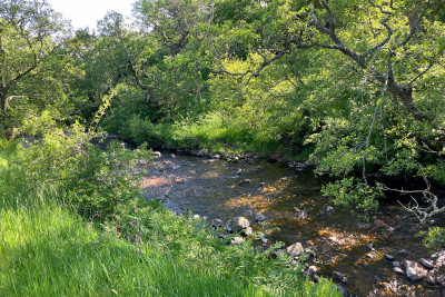 Cheviot Hills<br> Schotland - Scotland