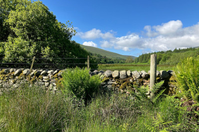 20240606 cheviot hills schotland dxo