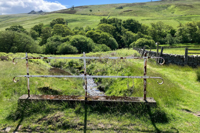 20240606 cheviot hills schotland dxo