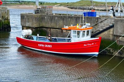 20240605 coquet island gb