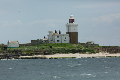 20240605 coquet island gb