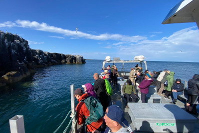 20240605 farne island gb