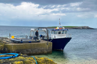 20240605 farne island gb