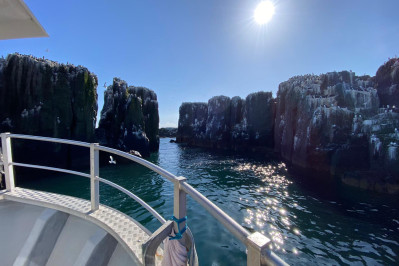 20240605 farne island gb