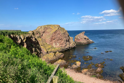 20240607 st abbs head dxo