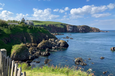 20240607 st abbs head dxo