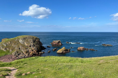 20240607 st abbs head dxo