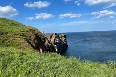 20240607 st abbs head dxo