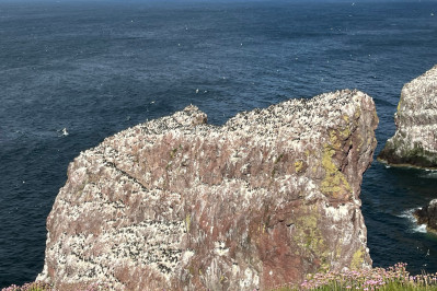 20240607 st abbs head dxo